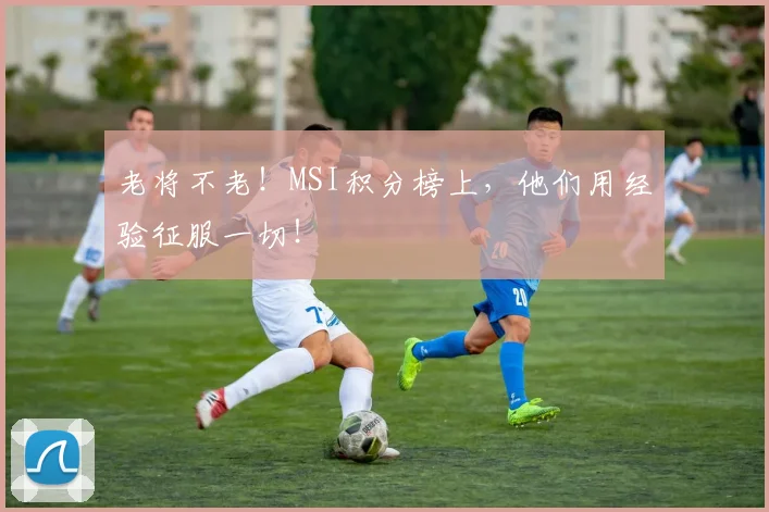 老将不老！MSI积分榜上，他们用经验征服一切！